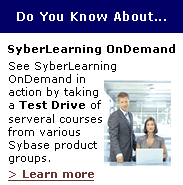SyberLearning OnDemand